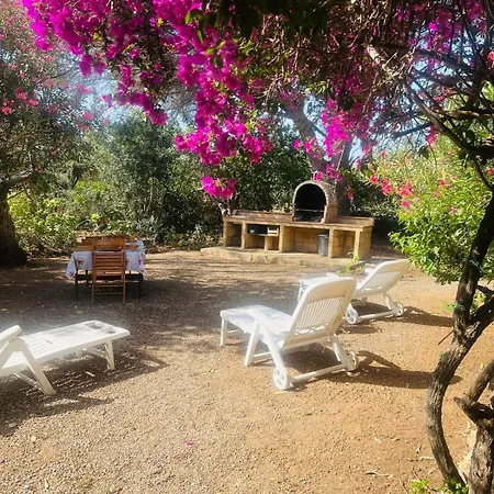 Casa Sul Mare La Camilluccia Holiday home Ovile la Marina